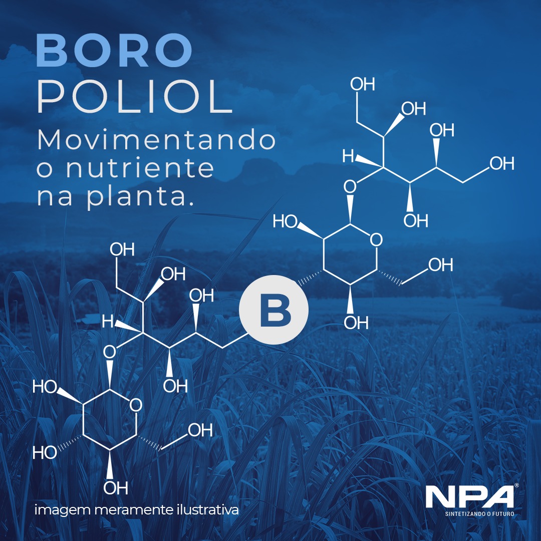 As vantagens no uso do Boro Poliol nas lavouras